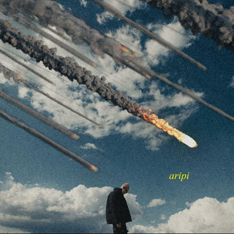 Aripi