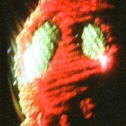 Wherever We Live (Red Trophy)