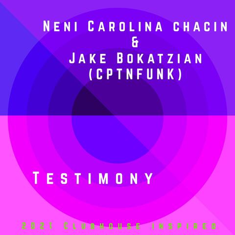 Testimony (feat. CptnFunk) [Mix]