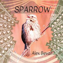 Sparrow On The Bow