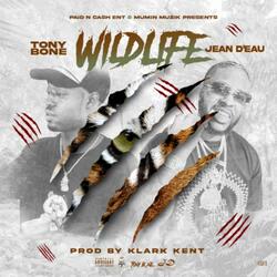 Wild Life (feat. Jean Deau)