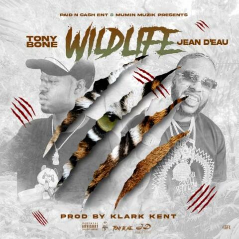 Wild Life (feat. Jean Deau)