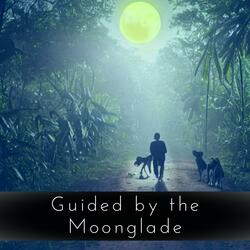Guided by the Moonglade