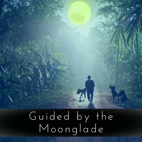 Guided by the Moonglade