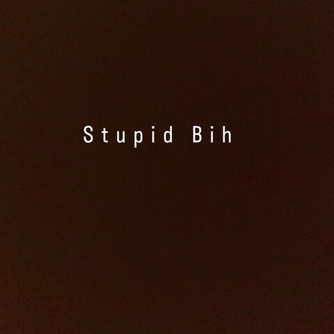 Stupid Bih
