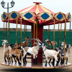 Roundabout Sweepstake