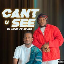 Cant u See (feat. Bruize)