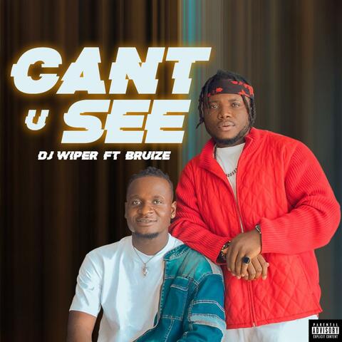 Cant u See (feat. Bruize)