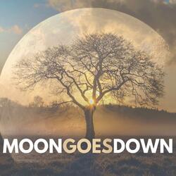 Moon Goes Down