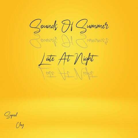 Sounds Of Summer Late At Night