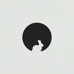 Rabbit Hole