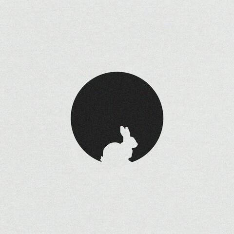 Rabbit Hole