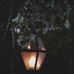 spring night