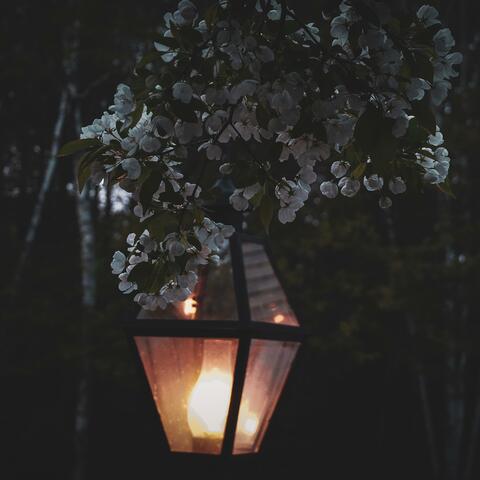 spring night