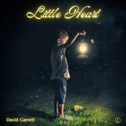 Little Heart