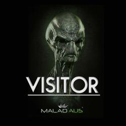 Visitor