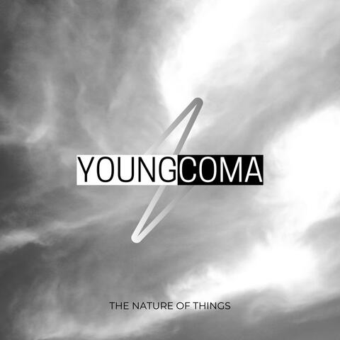 The Nature Of Things