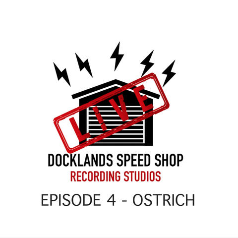 Episode 4 (Ostrich)