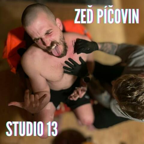 Zeď píčovin
