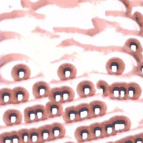 MUSIC FOR DIPSHITS