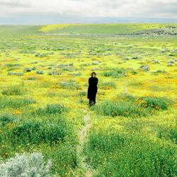 flower bed (acoustic )