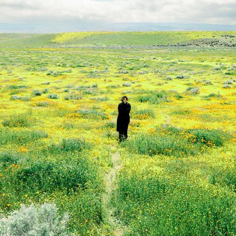 flower bed (acoustic )