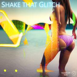 Shake that Glitch