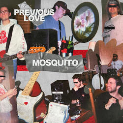 Mosquito