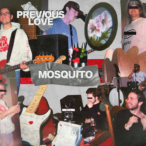 Mosquito