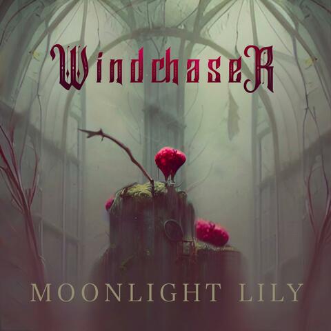 Windchaser