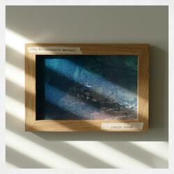 Blackberries Prelude