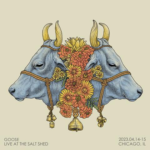 Live at The Salt Shed