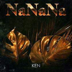 NaNaNa