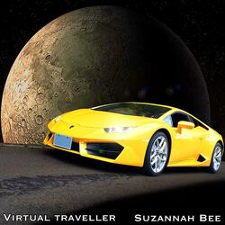 Virtual traveller