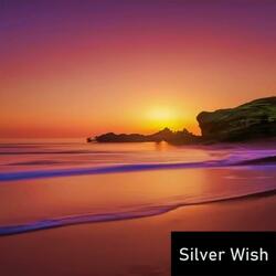 Silver Wish