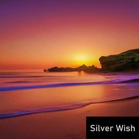 Silver Wish