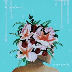 Just a Chance