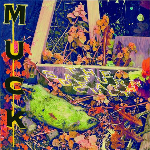 MUCK
