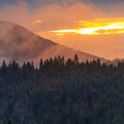 Carpathian Mountains of Ukraine