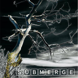 SubMerge