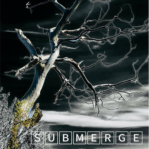 SubMerge