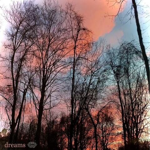 dreams
