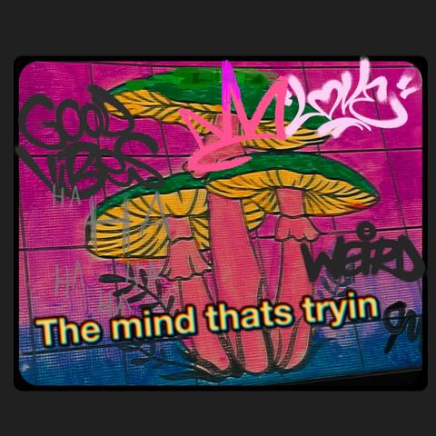 The mind thats tryin