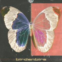 Birdenbire