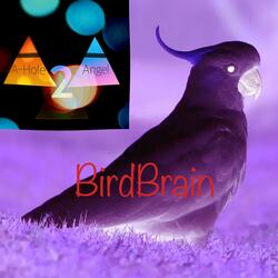 BirdBrain