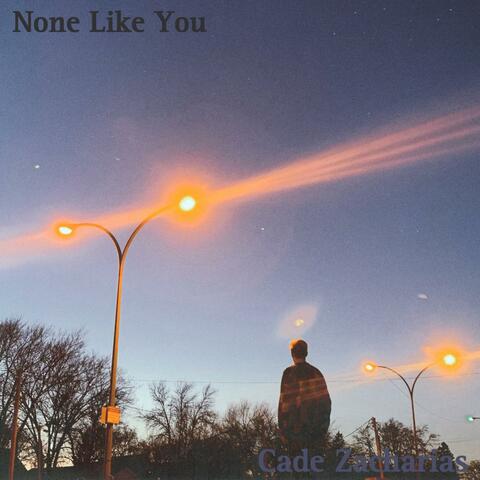 None Like You