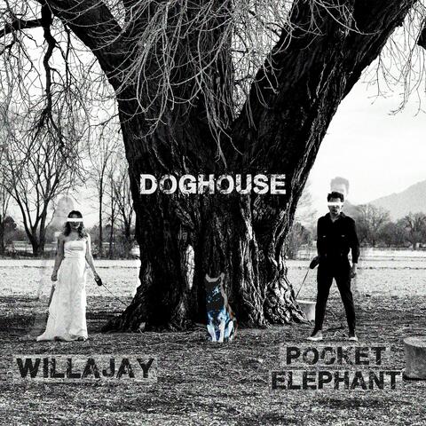 DOGHOUSE (feat. pocket elephant)