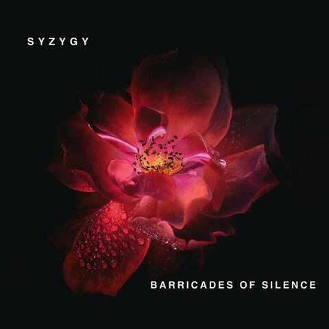 Barricades Of Silence