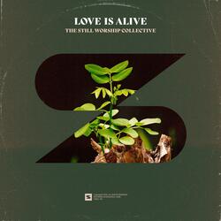 Love Is Alive