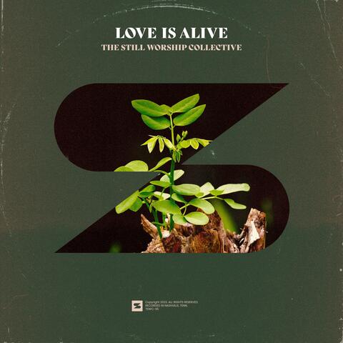 Love Is Alive